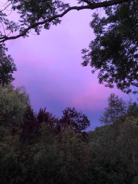 Domaine AbracadaRoom : Chalet Pulligny - Image 11