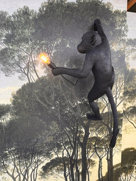 Hébergement AbracadaRoom : Dôme étoilé - Image 16