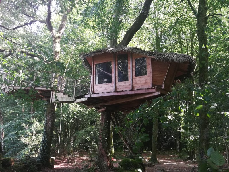 Hébergement AbracadaRoom : Tapis d'Or - Image 2