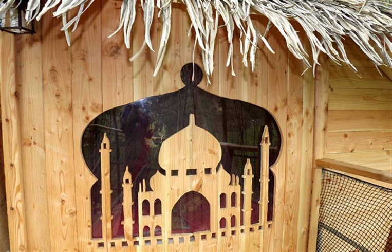 Hébergement AbracadaRoom : La Cabane Retour d'Orient - Image 4