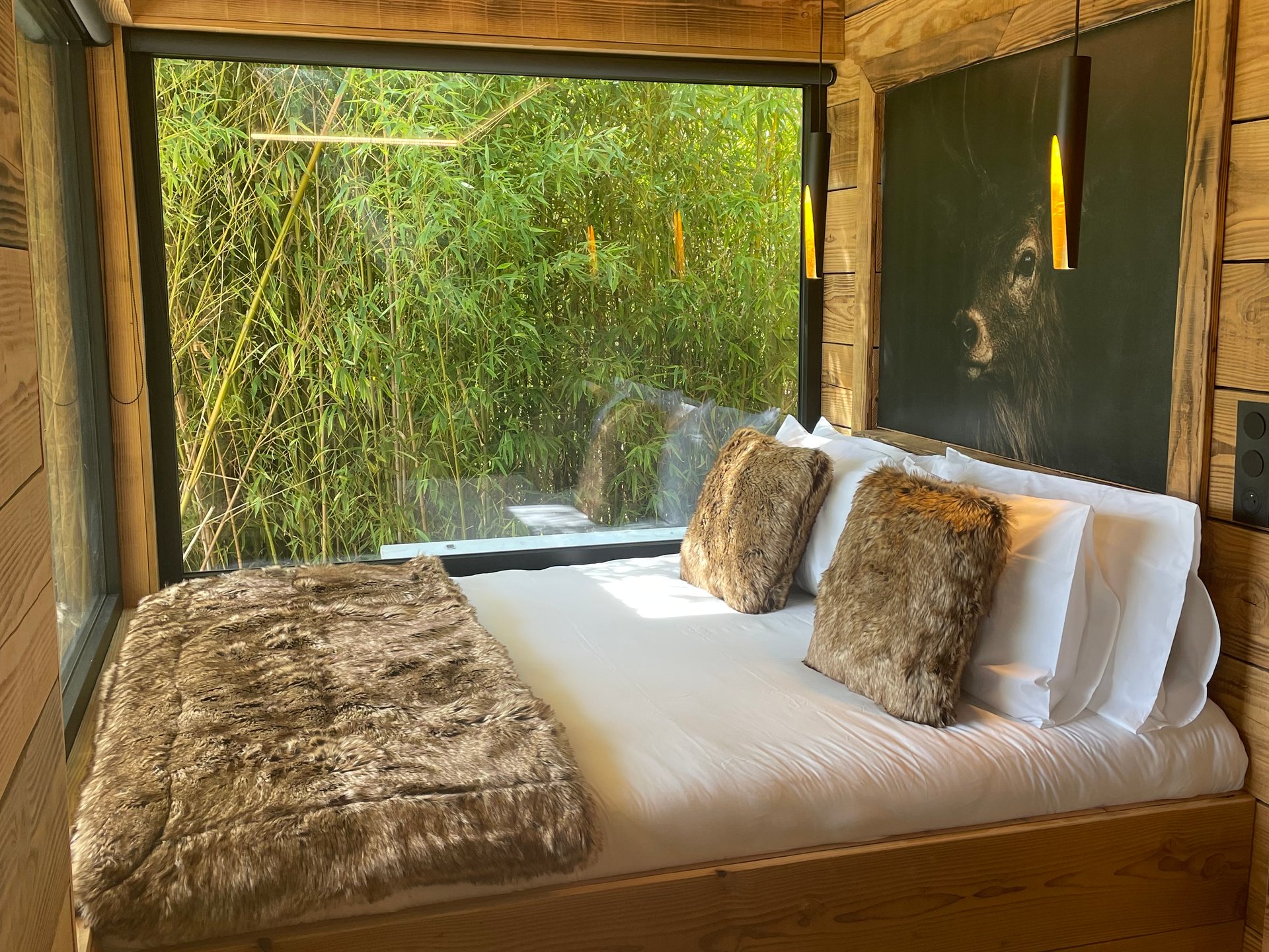 Suite Refuge • Écrin de luxe & bain nordique au bord du canal