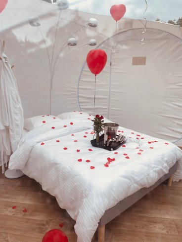 Hébergement AbracadaRoom : La Bulle sur Rouvres - Image 9