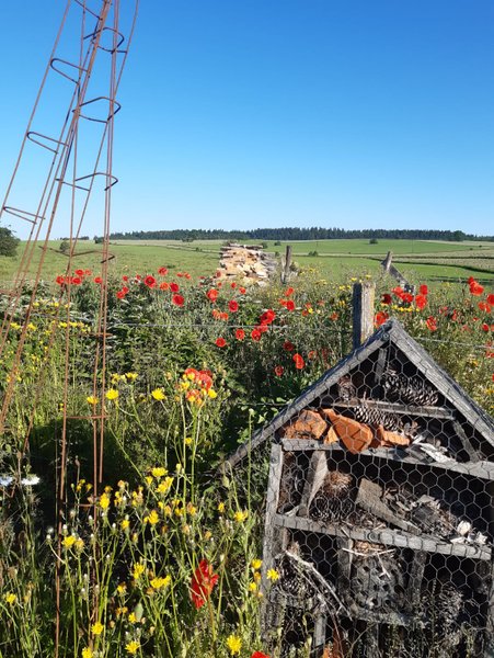 Domaine AbracadaRoom : Roulotte du Jura Vert - Image 15