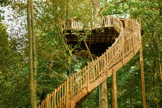 Cabane dans les arbres Oise