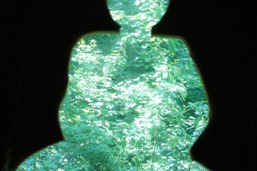 Cabane Zen perchée dans un arbre centenaire — photo 2