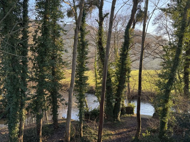 Hébergement AbracadaRoom : Bulle Perchée Etoile Filante & Spa - Image 17