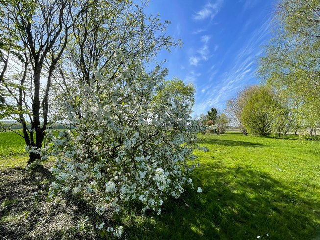 Domaine AbracadaRoom : Domaine des Anes - Image 10