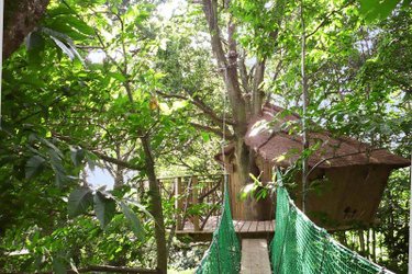 Cabane des Elfes à La Chapelle Chaussée (2)