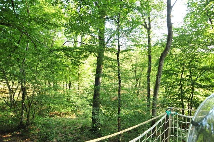 Hébergement AbracadaRoom : Bulle Fouletot - Image 8