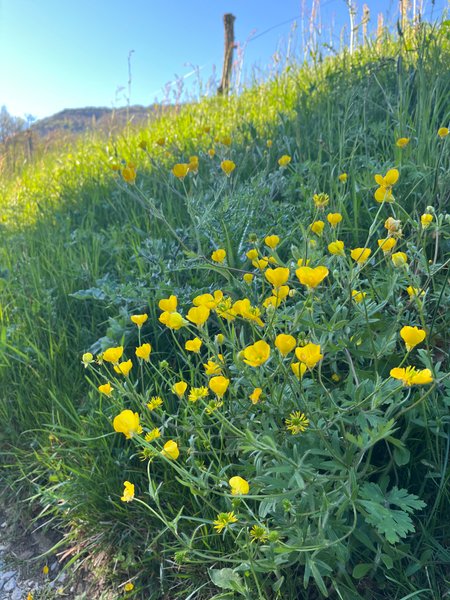 Hébergement AbracadaRoom : La Pendola - Image 11