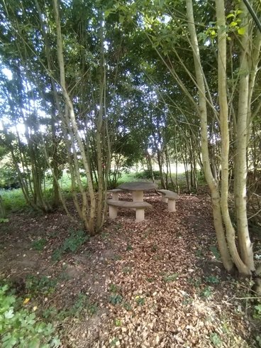 Hébergement AbracadaRoom : Le Dôme de Draëck & Sauna privatif - Image 15