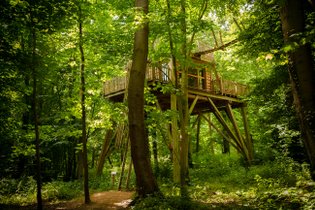 Cabane dans les arbres Oise
