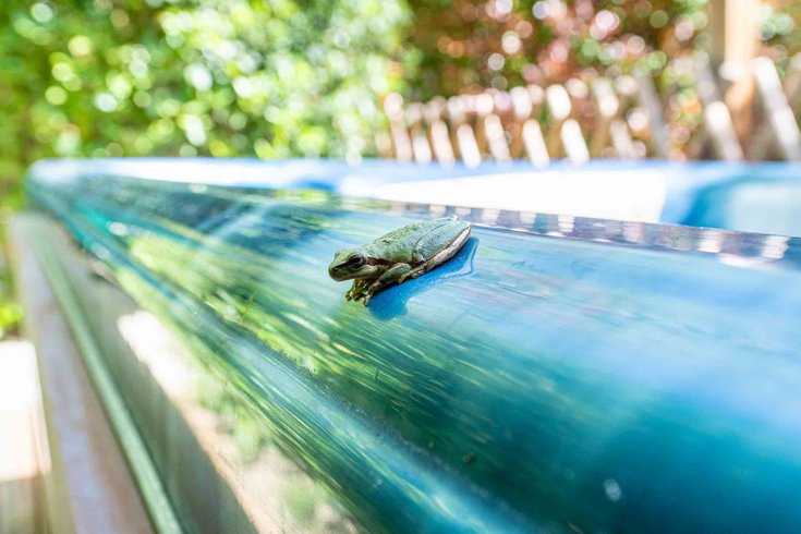 Hébergement AbracadaRoom : La Perle Magique & Spa - Image 25