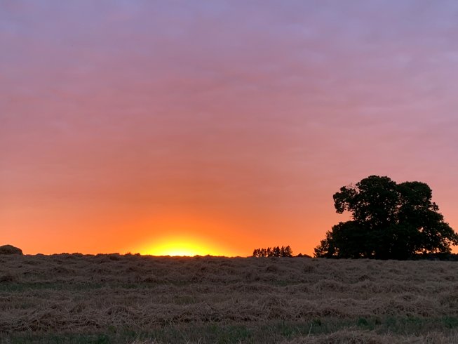 Hébergement AbracadaRoom : Roulotte 360°nature - Image 26