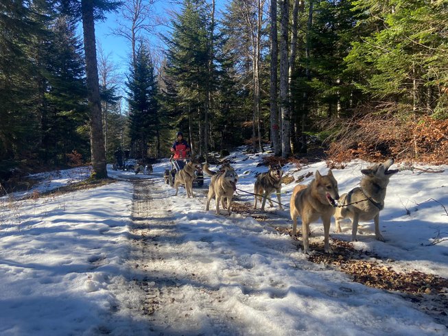 Domaine AbracadaRoom : Esprit du Nord - Image 16