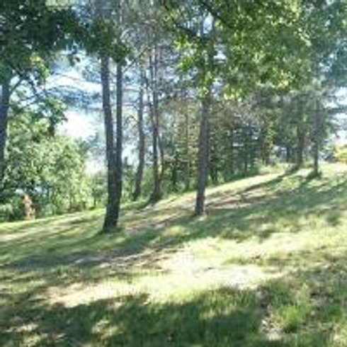 Hébergement AbracadaRoom : Suite Médiévale - Image 16