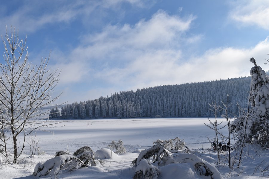 Hébergement AbracadaRoom : Le Nid du Lac - Séance sauna privatif - Image 13