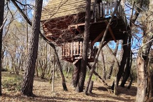 Cabane Nid d’Oiseaux - Un cocon perché qui danse avec le vent