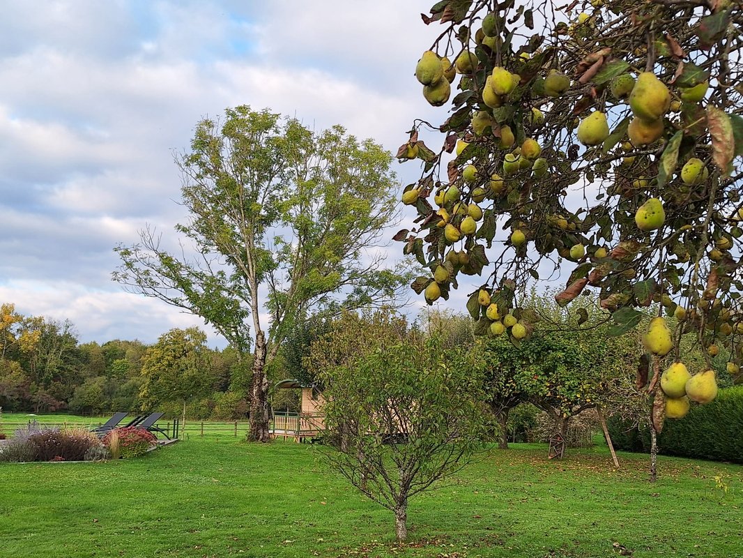 Roulotte & Respire à Foussemagne (18)