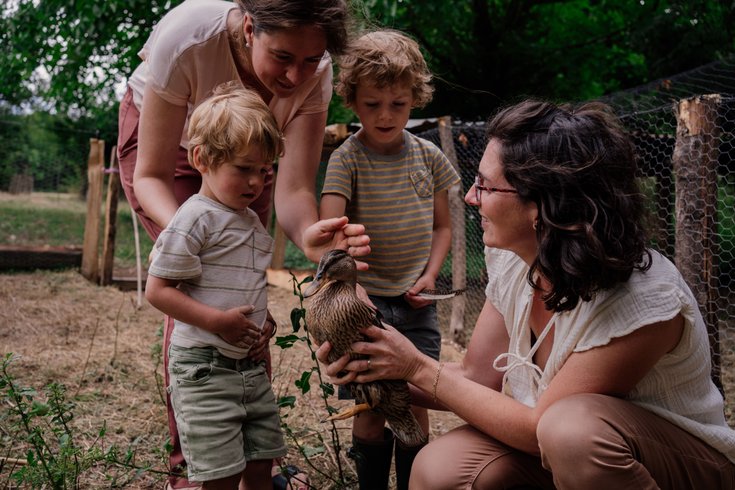 Domaine AbracadaRoom : Un Lit Au Pré - La ferme de la Flocellière - Image 6