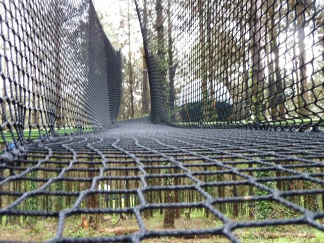 Hébergement AbracadaRoom : Les Palombes - Image 2