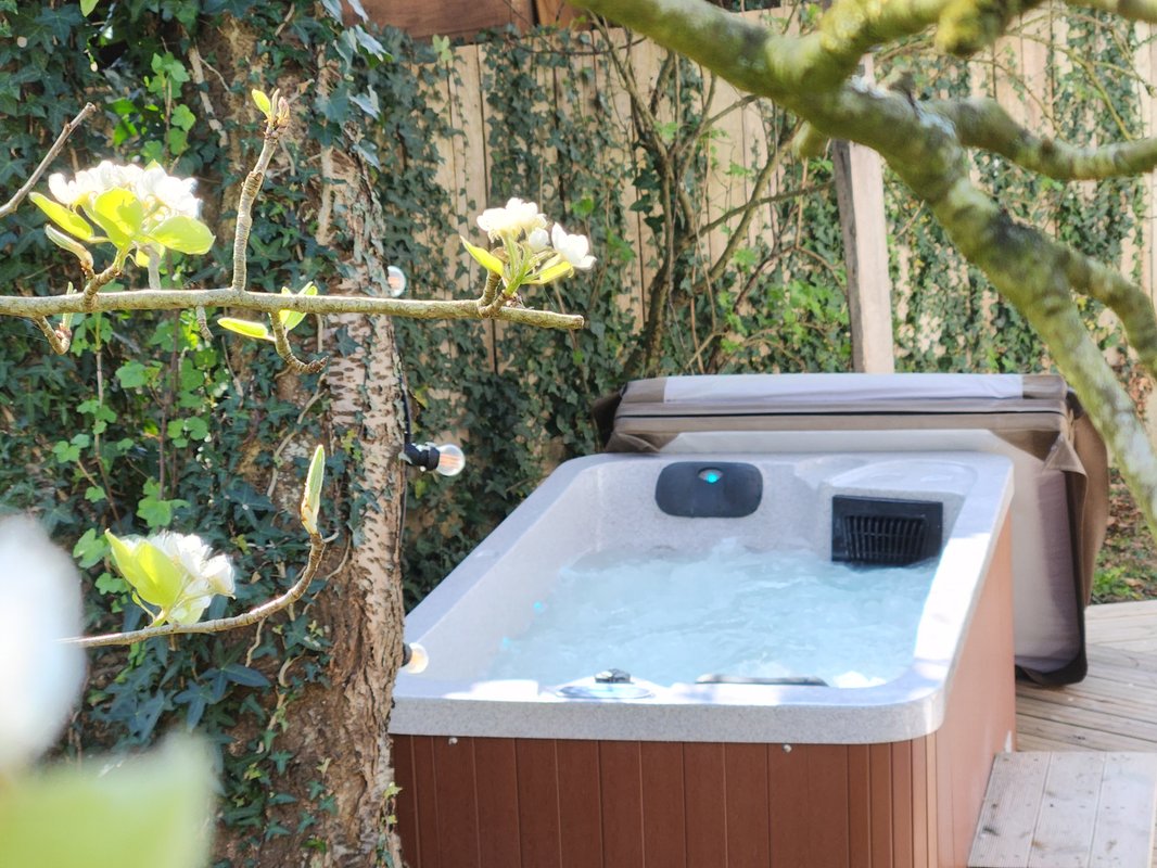 Le Dôme & spa à Saint-Jean-D'elle (5)