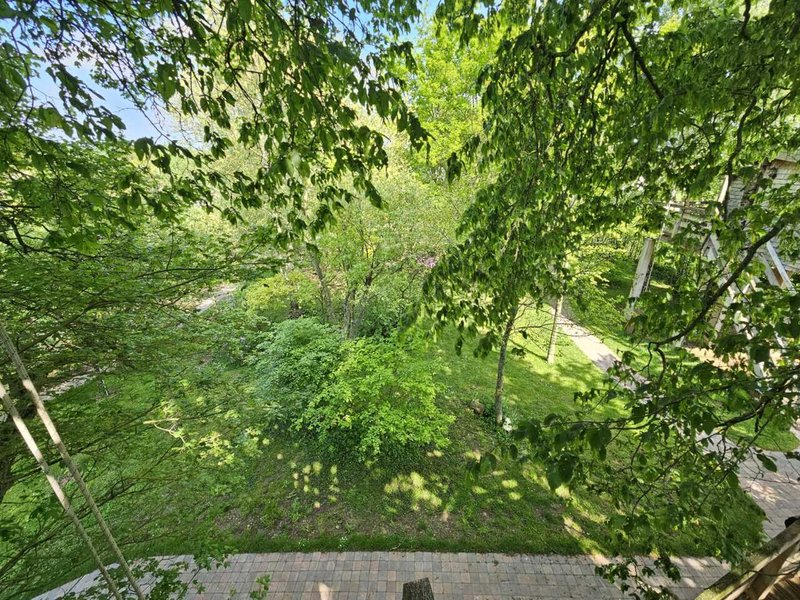 Hébergement AbracadaRoom : La Cabane dans les Arbres - Image 4