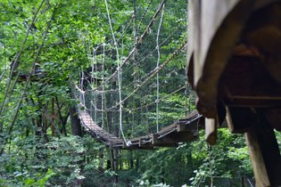 Cabane dans les arbres Jura