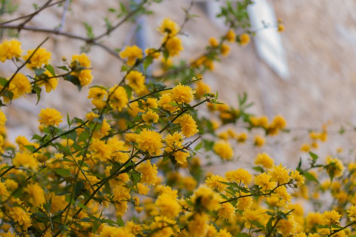 Hébergement AbracadaRoom : Le Brame des 4 Vents - Refuge entre Drôme & Vercors - Image 26