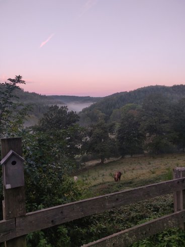 Hébergement AbracadaRoom : Cabane Tilleul - Image 6