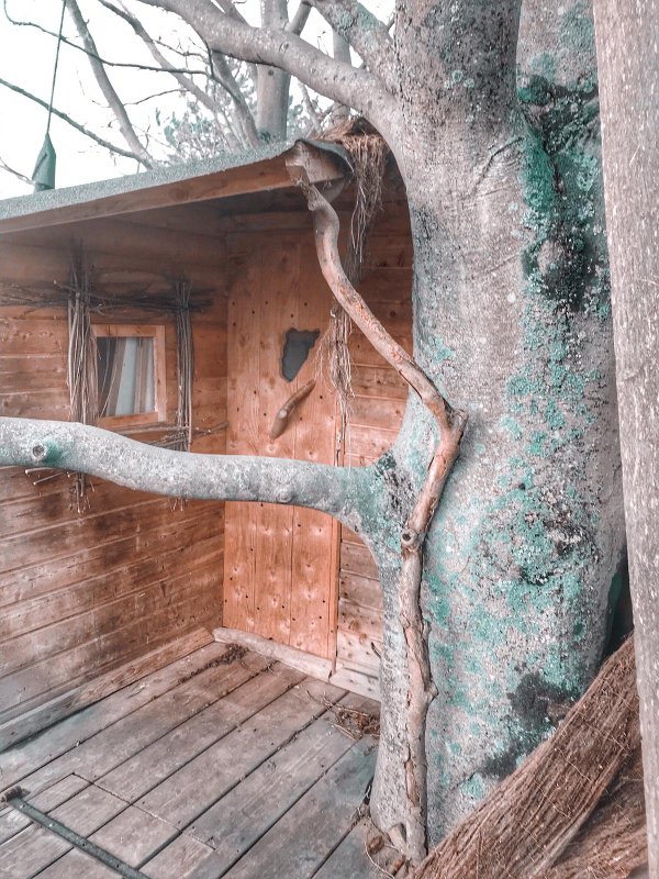 La cabane Haut-Perchée & Spa à Wail (7)