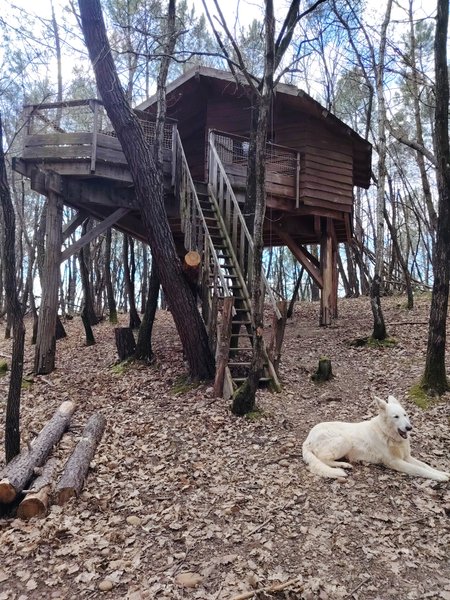 Hébergement AbracadaRoom : Cabane Murmure de Feuilles – Une parenthèse suspendue au cœur de la nature - Image 1