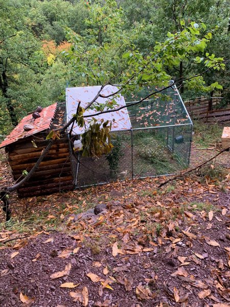 Domaine AbracadaRoom : Les écrins de Belvédère - Image 22