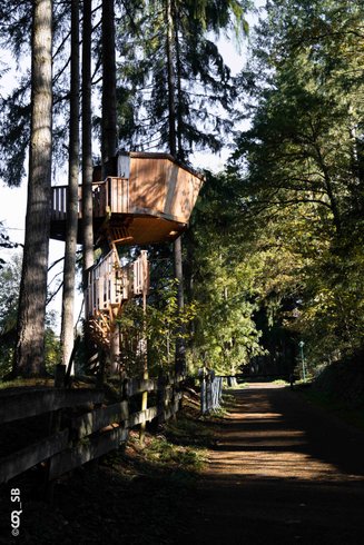 Hébergement AbracadaRoom : Cabane HERON - Séance sauna offerte - Image 12