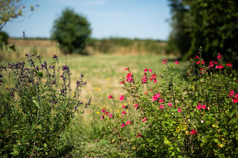 Hébergement AbracadaRoom : Madiba - Image 13