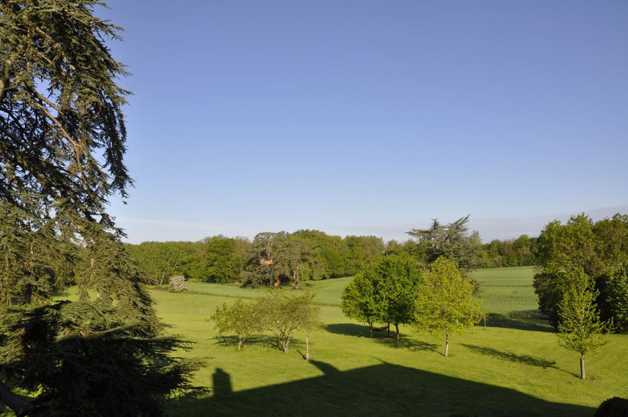 Domaine AbracadaRoom : Château du Vau - Image 3