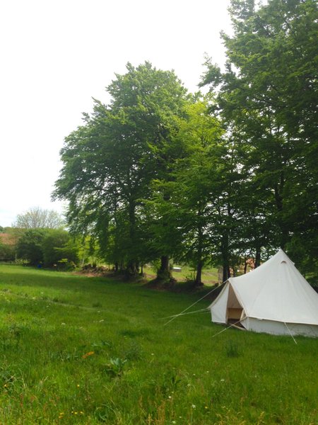exterieur_erable_green_tree_glamping