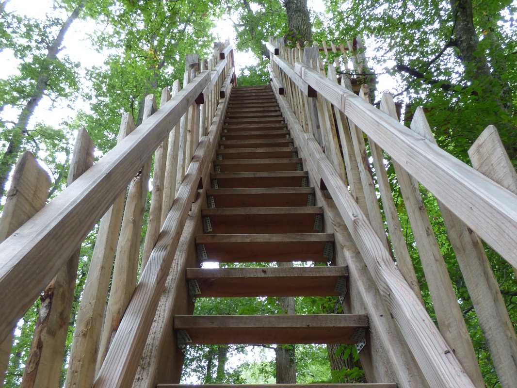 SUPPRIMER à Pompignac (14)