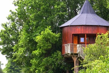 maison perchée dans les arbres