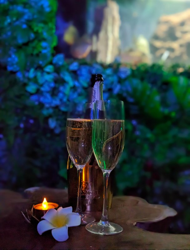 Nuit insolite avec Spa, sauna et jardin privatifs immersion en AMAZONIE à Le Passage D'agen (7)