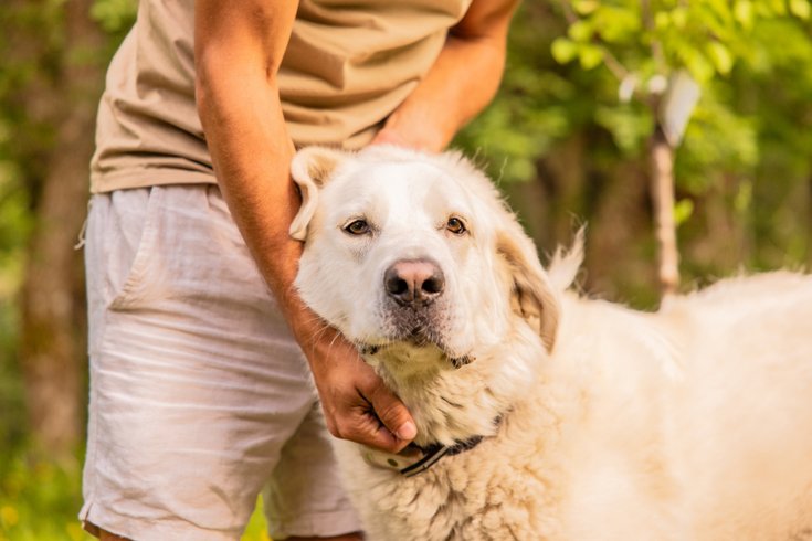 Domaine AbracadaRoom : Homnest (Colmars) - Image 22