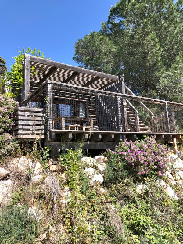 Cabane Spa Lavande à Sorgues (7)