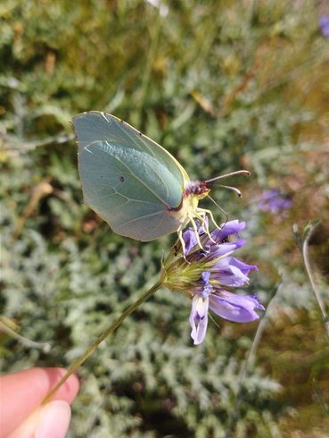 Domaine AbracadaRoom : Aurenda - Image 14