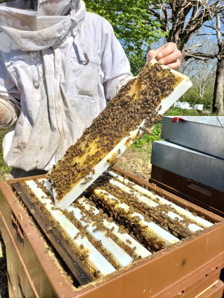 Domaine AbracadaRoom : Domaine de Bassilour - Image 29