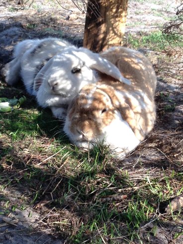 Domaine AbracadaRoom : Parenthèse Nuit - Image 8