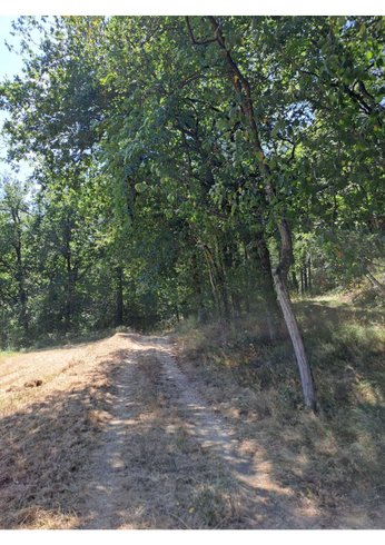 Hébergement AbracadaRoom : L'Ephémère & Spa - Image 12