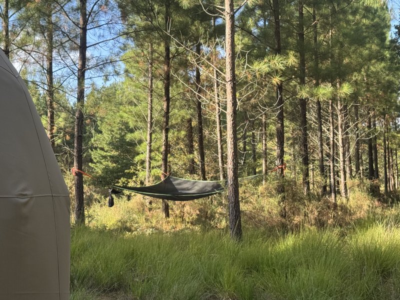 Hébergement AbracadaRoom : Dôme d'Amagui au cœur de la forêt Landaise - Image 11