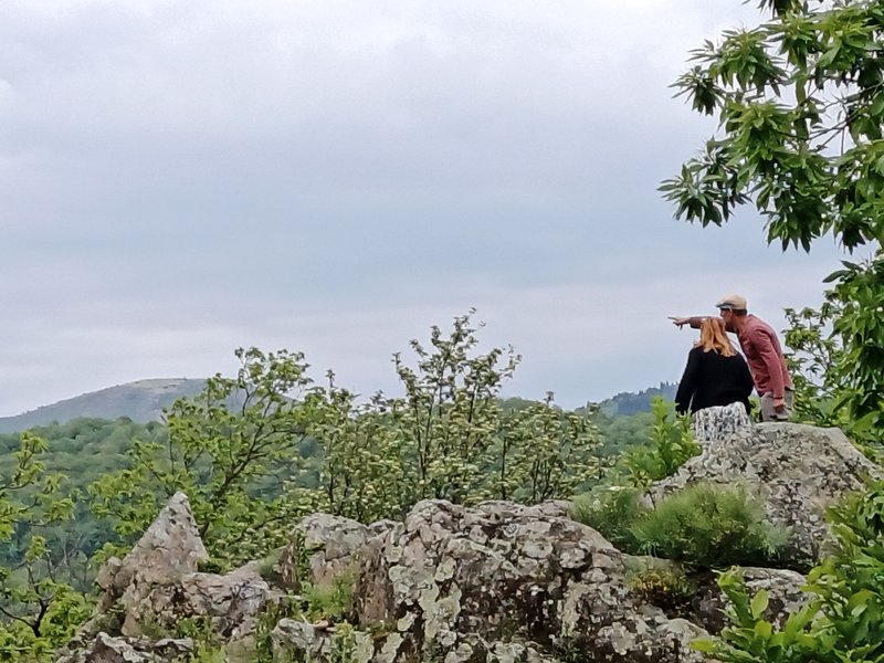 Domaine AbracadaRoom : ECOLIEUX l'Arbre de Vie en Ardèche - Image 5