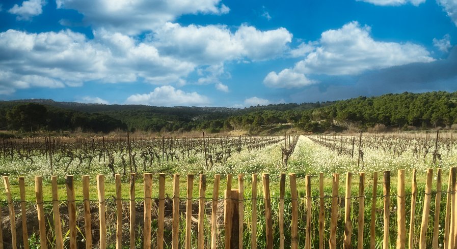 Domaine AbracadaRoom : Camping Paradis Soleil d'Oc - Image 5