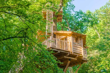 Cabane Vertige à Joncherey (2)